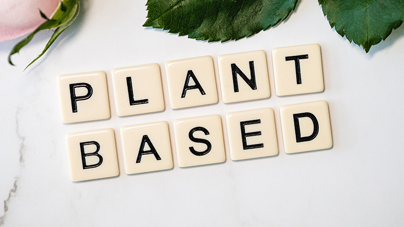 plant based food