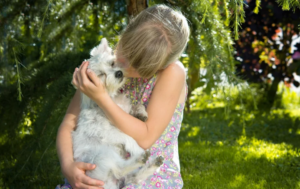 pet